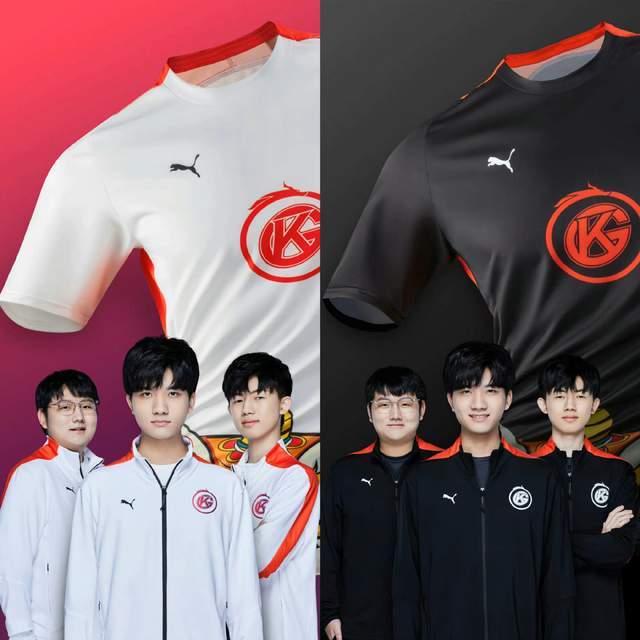 扮演的角色 扮演的角色